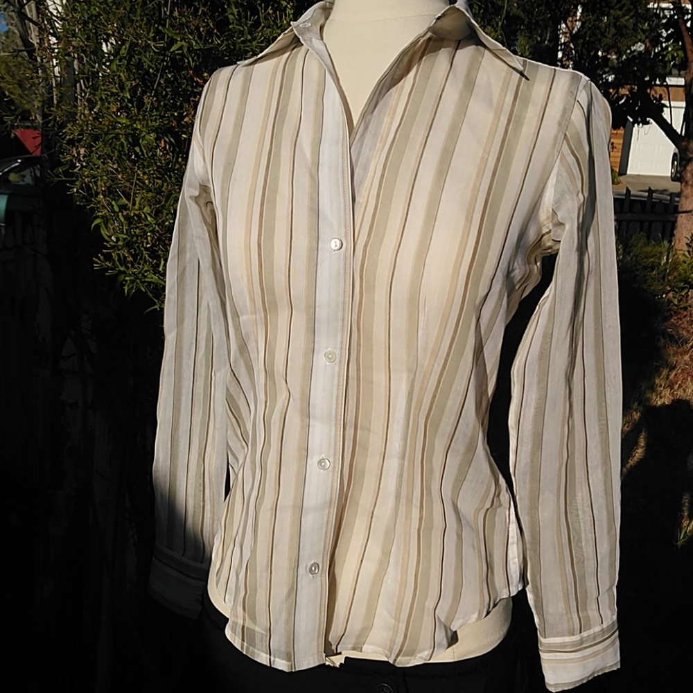The Limited Sheer Button down Top XS
